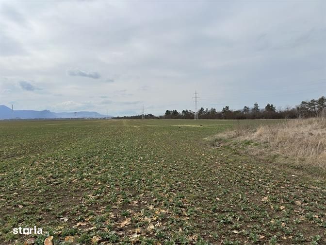 Teren  pentru depozitare sau activitati industriale langa DN 11