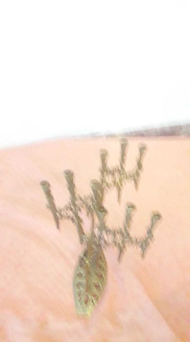 Sfesnic hanukkah din bronz