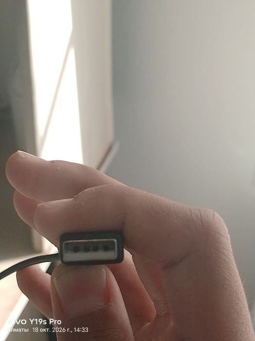 Мышь Delux DLM-391 OUB (проводная, USB)