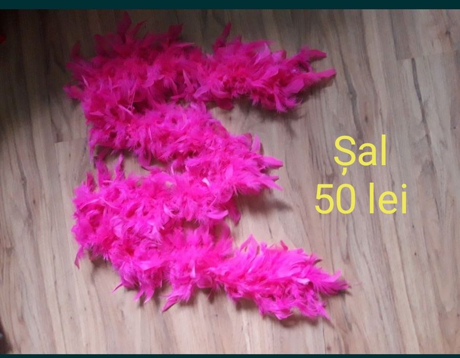 Sal fulgi, divertisment