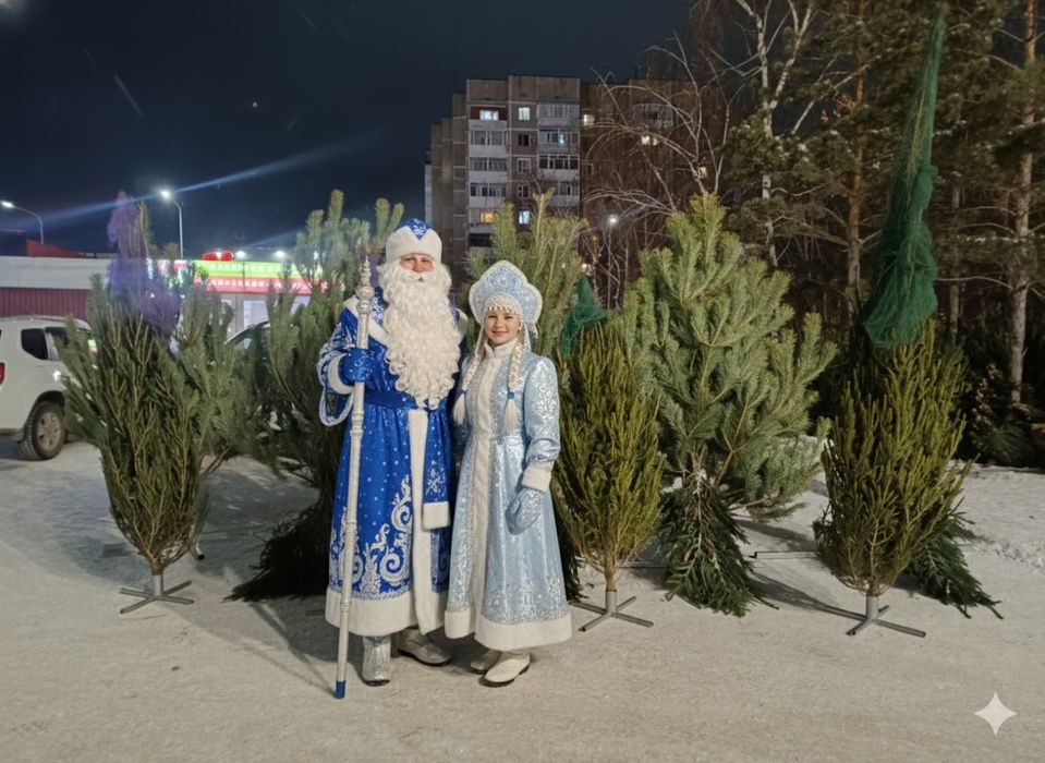 Ёлки ,Сона ,ель,пихта,новогодние