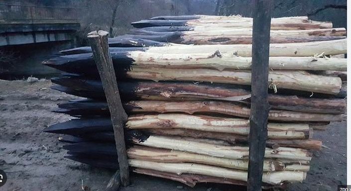 Stalpi salcam pentru gard