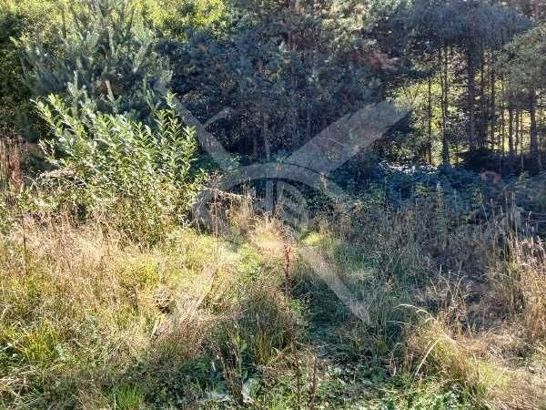 Парцел в с. Ситово! 92102