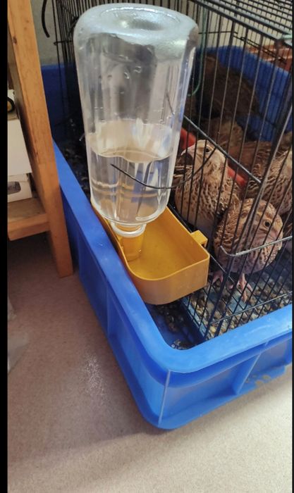 Поилка-кормушка для птиц