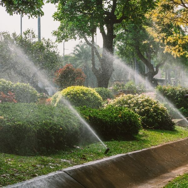 Автополив, Хантер, газон, озеленение