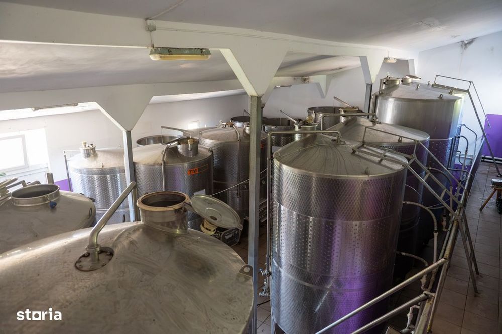 Cramă Premium De Vânzare -60 Ha- Conac Istoric- Podgoria Drăgășani