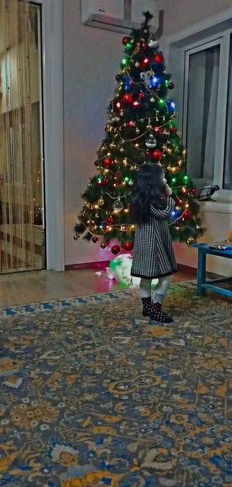 Archa sotiladi holati yaxshi