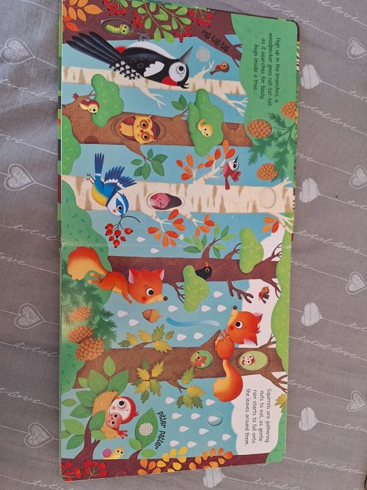 Carte usbone woodland sounds