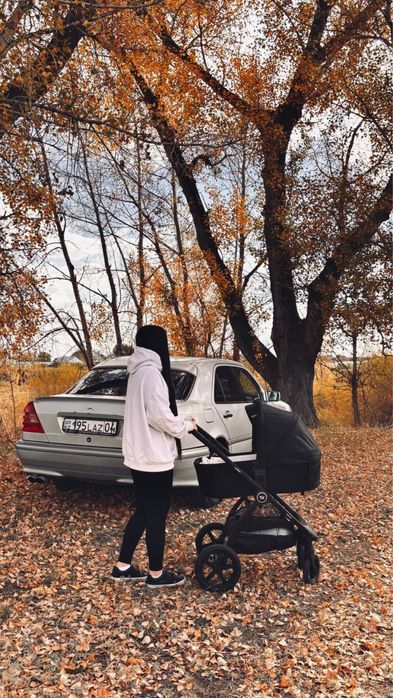 Коляска Tomix 2в1