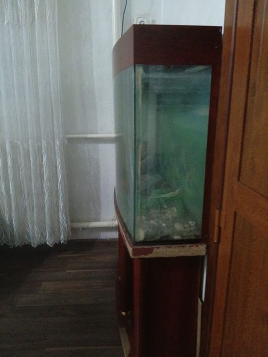 Аквариум 255 литров