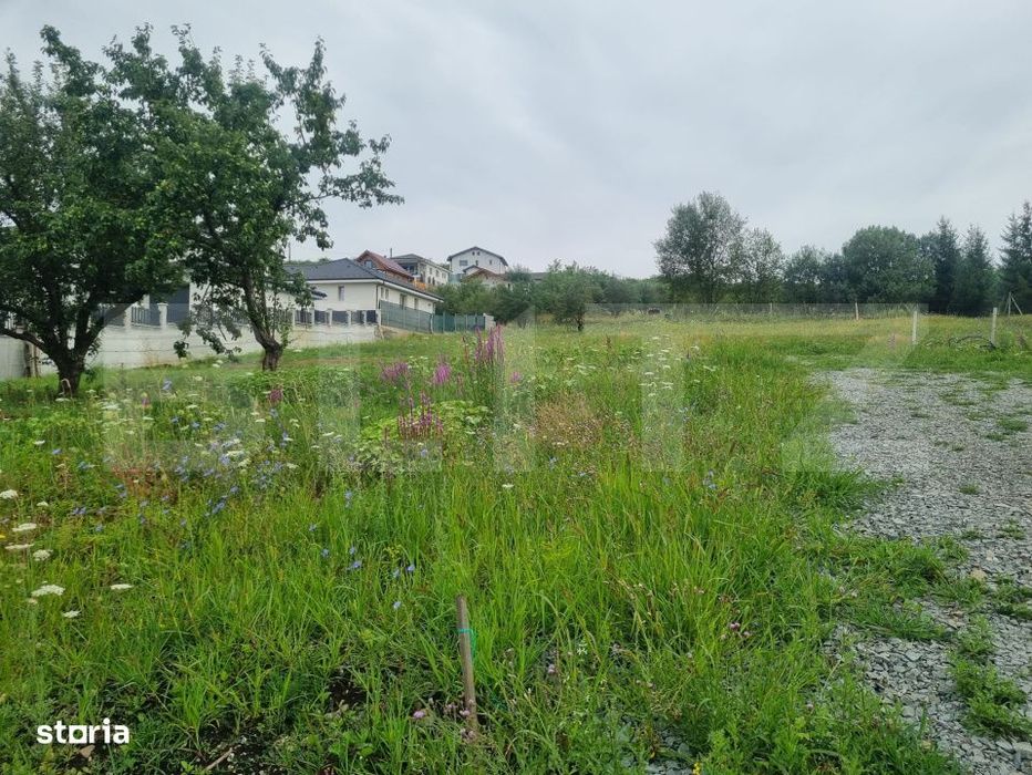 Teren 700 mp cu priveliste spre oras, disponibil si parcelat, Bistrita