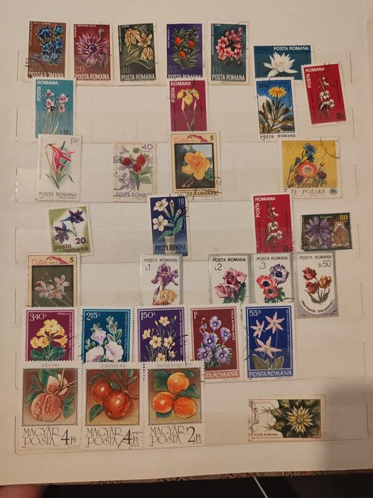 Clasor timbre colecție