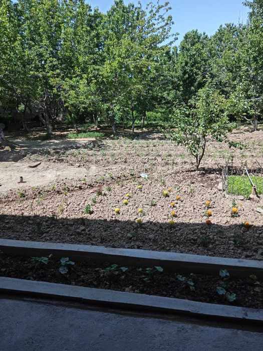 Yer sotiladi parkentda kadastr bor