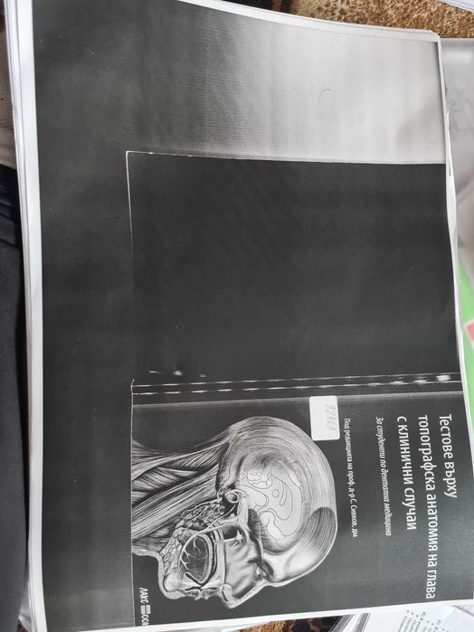 Тестове по анатомия