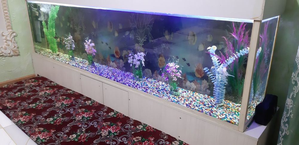Аквариум 600 литров