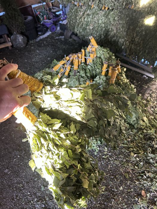 Продам банные веники