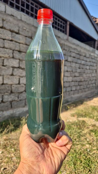 Дизельный моторный масло