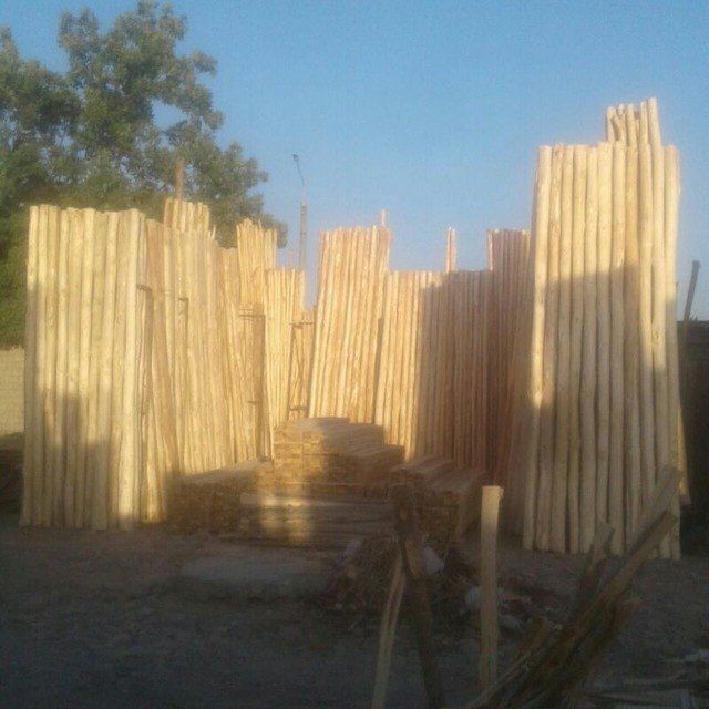 Tere to'sin mahsulotlari