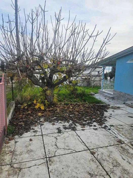 Ремонтирана къща в Аспровалта – Серейки Акти!