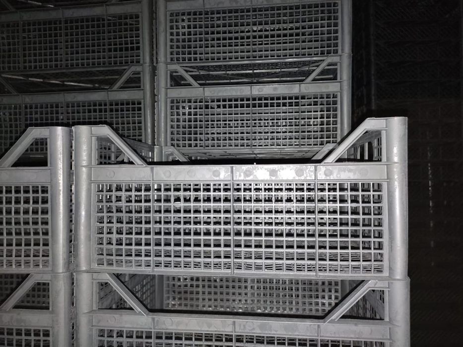 Ящики пластиковые