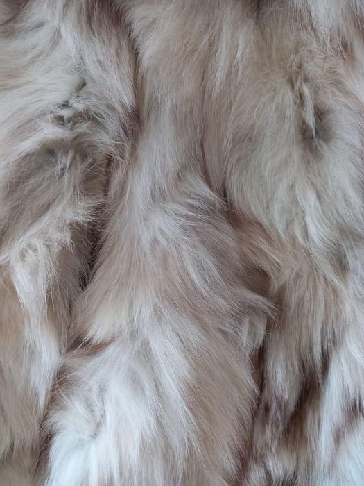 Haina blana vulpe argintie