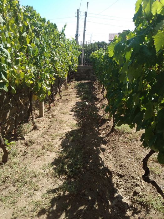 Продава се Къща в Кричим - 300 кв.м за 584 €/кв.м - Снимка #14