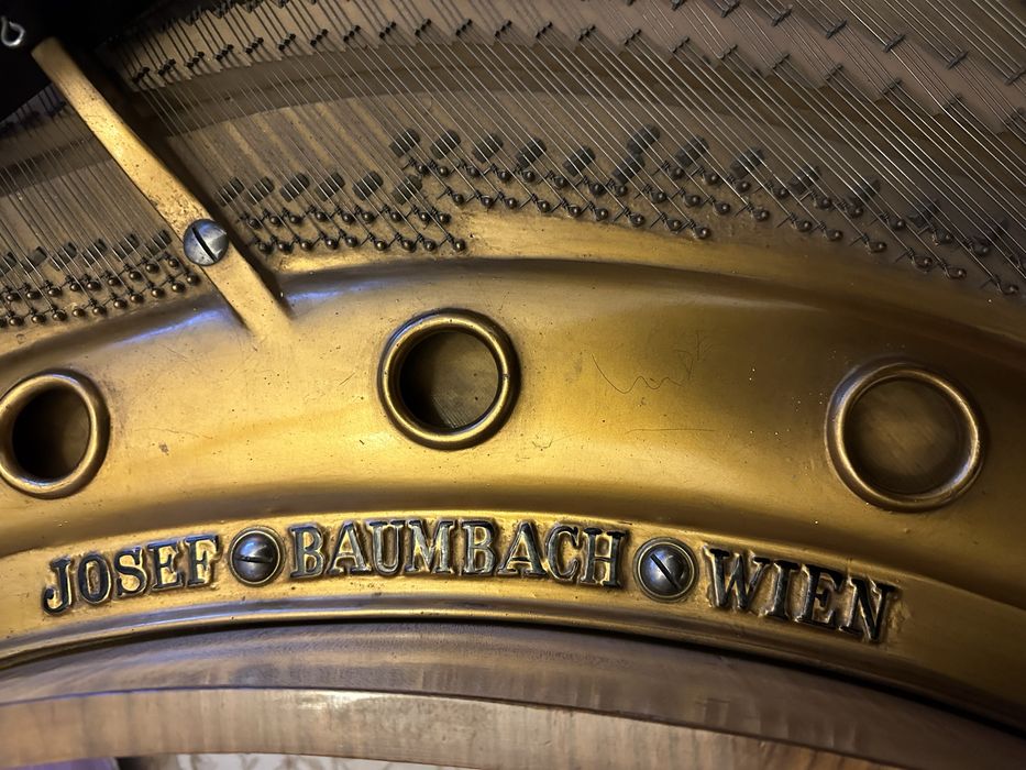 Vand pian coada lunga