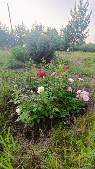 Продам дачу в районе Ахмирово