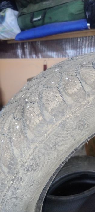 Автошины продам недорого