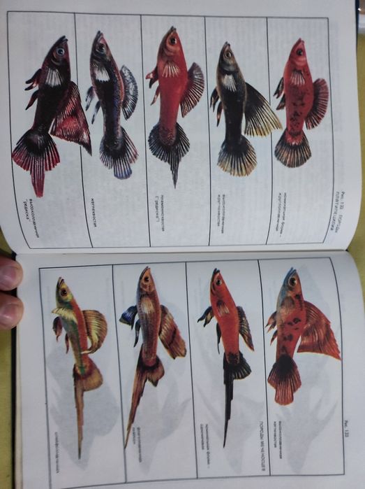 Книга об аквариумных рыбах