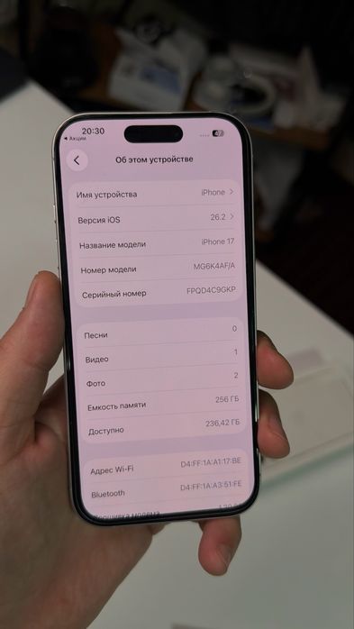 iPhone 17 256GB White 100% Battery