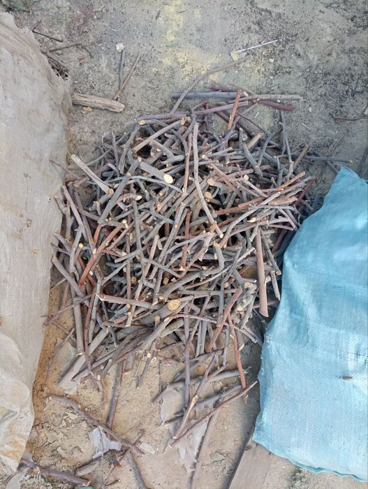 Дрова для тандыра