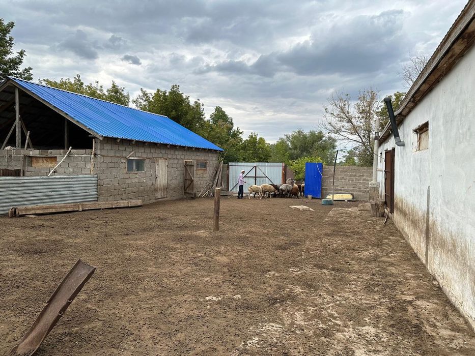 Продам дом. Үй сатылады