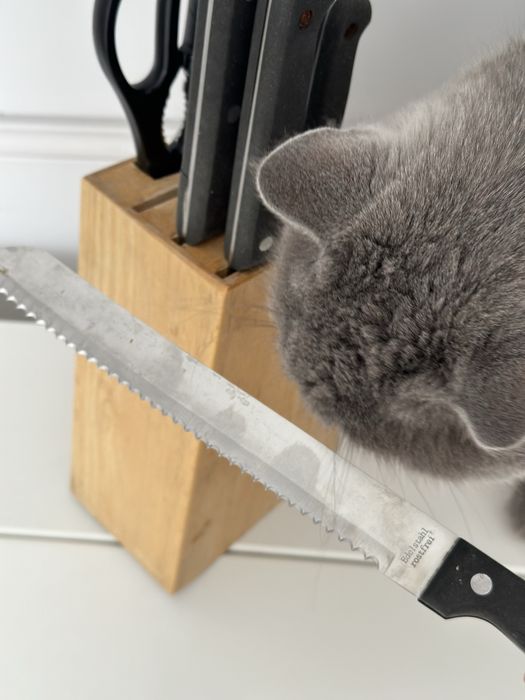 Кухонные ножи набор в подставке