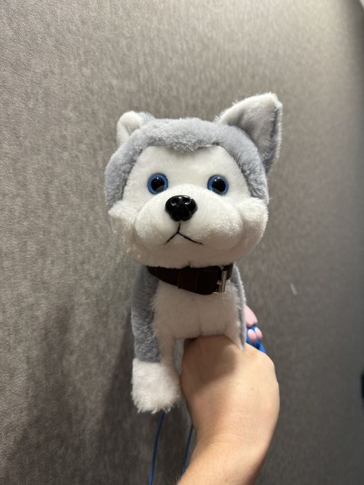 Собачка на поводке