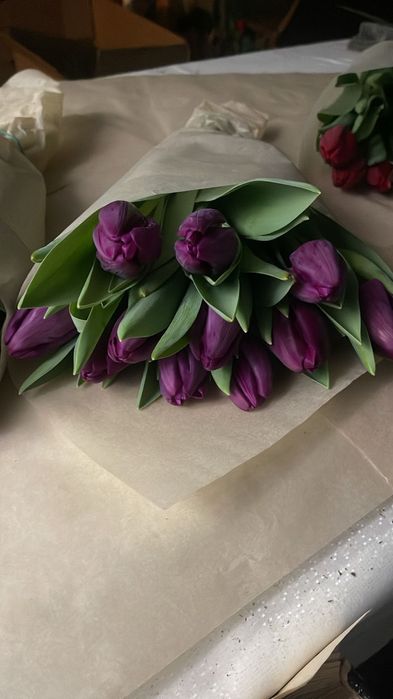 Тюльпаны крупные по 700тг