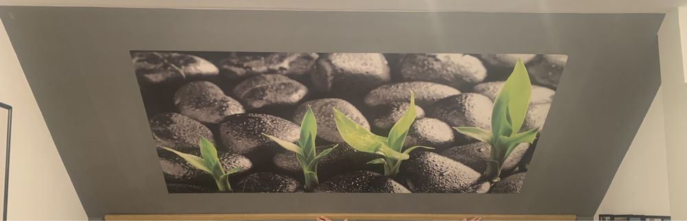 Fototapet stare excelenta