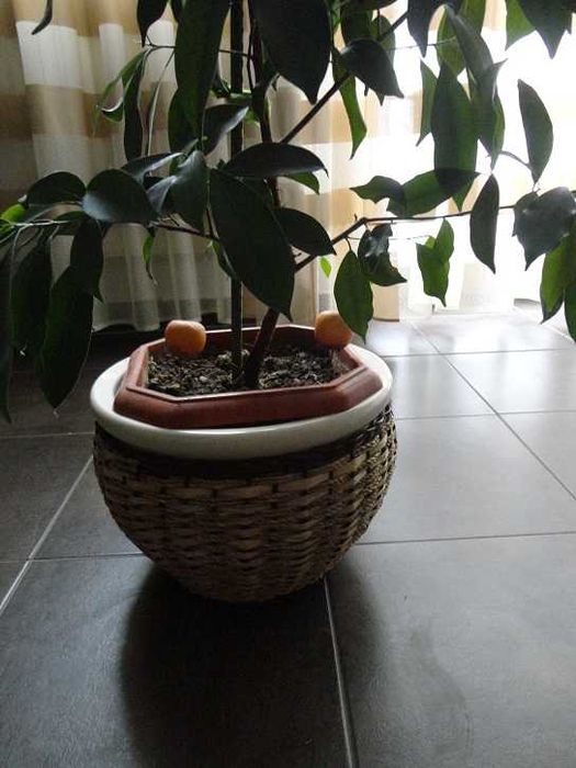 Ghivece din ceramica de  dimensiuni mari