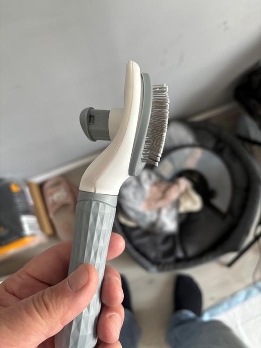 Щенок шпиц 4 месяца мальчик