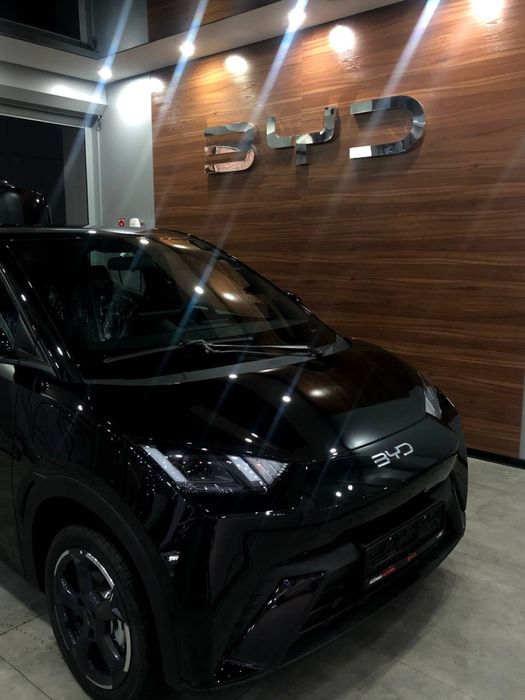 BYD SEAGULL 405 KM Flying 2025 от официального  ДИЛЕРА BYD ROHAT