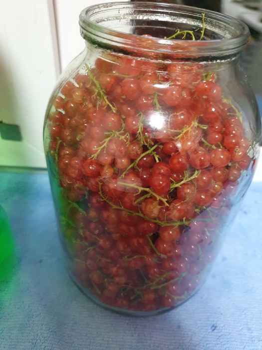 Продам красную смородину (дачная)