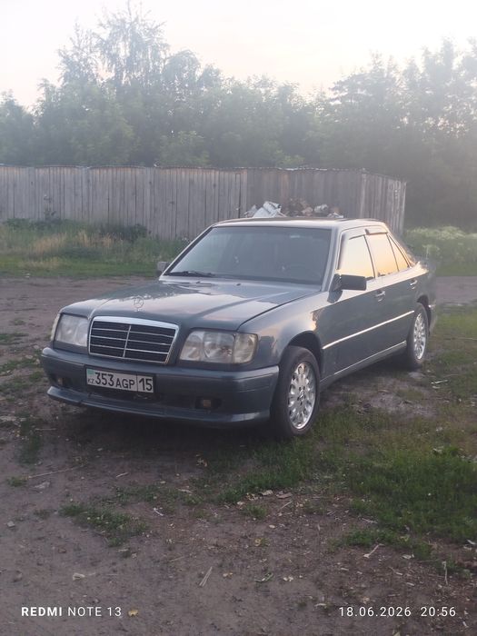 Продам мерина в хорошем состоянии