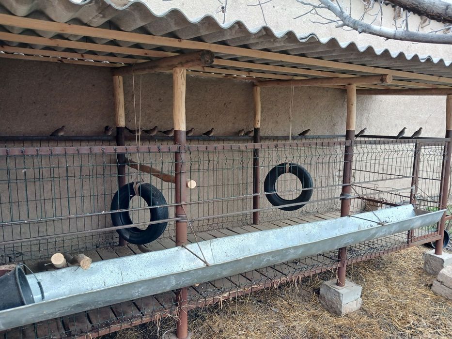 Куйхона сотилади хамма кулайлиглари бор тайор