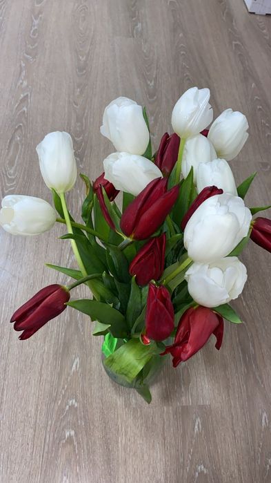 Тюльпаны  20 штук