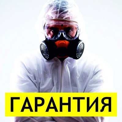 Дезинфекция | Дизенфекция | Дизинфекция клопов тараканов от блох змей