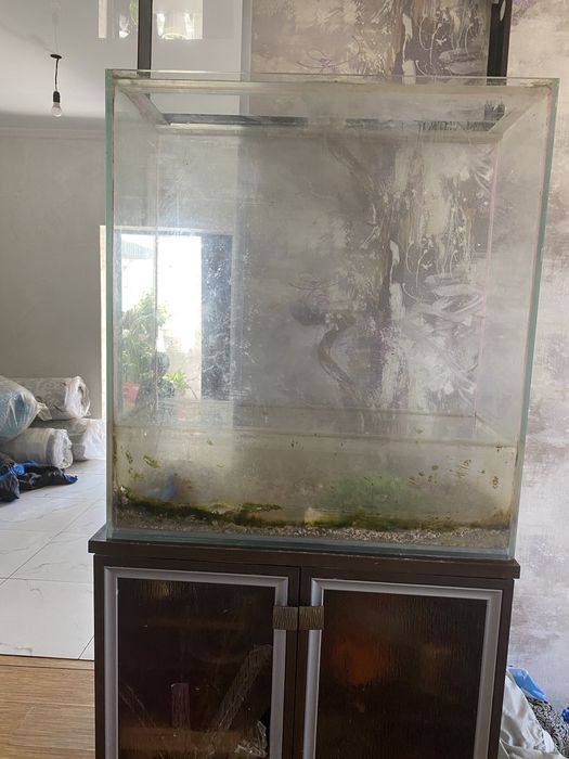 Акуарим прлдам