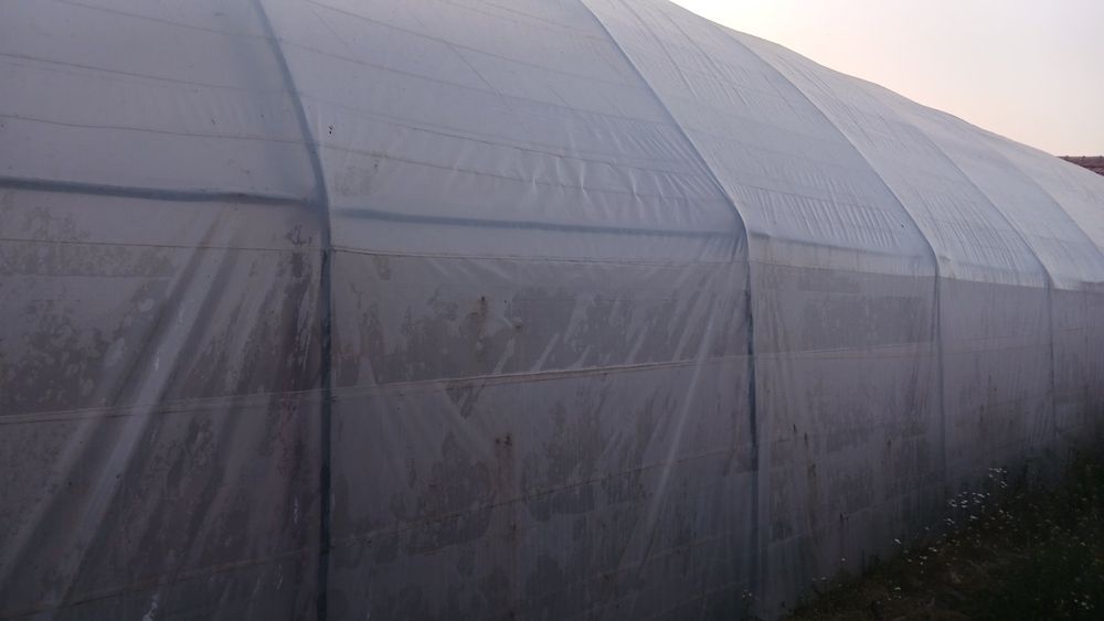 Оранжерия Асеновградска 144 кв.м.