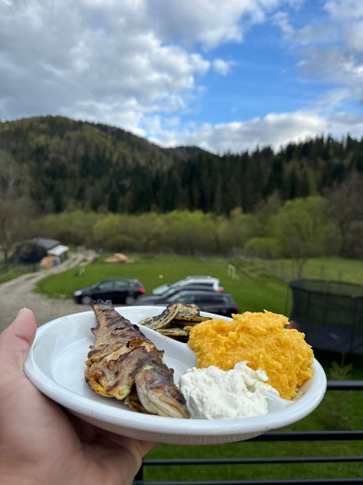 Foisor ,gratar ,cabana pentru închiriere Malini Suceava