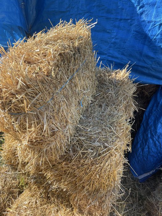 Baloti de baie mai multe detali la tel