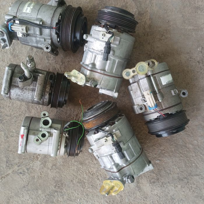 Kandisaner kaptiva maibga kobtga spark jentra neksyaga laseti bor